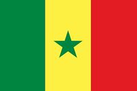 Senegal Bayrağı (20x30)