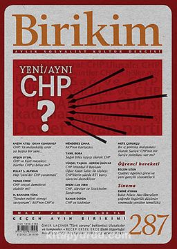 Birikim / Sayı:287 Yıl: 2013 / Aylık Sosyalist Kültür Dergisi