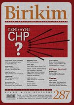 Birikim / Sayı:287 Yıl: 2013 / Aylık Sosyalist Kültür Dergisi