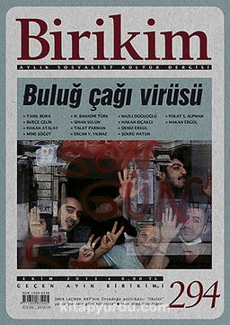 Birikim / Sayı:294 Yıl: 2013 / Aylık Sosyalist Kültür Dergisi