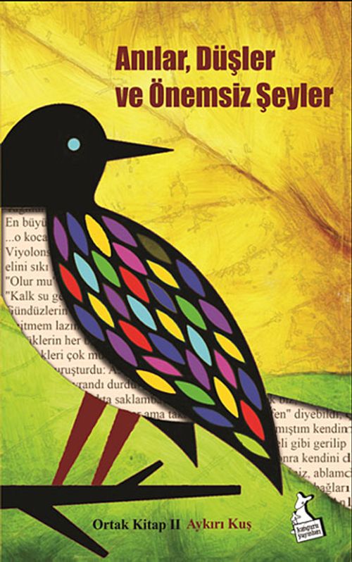 Anılar, Düşler ve Önemsiz Şeyler & Orta Kitap II Aykırı Kuş