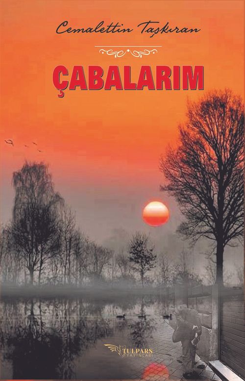 Çabalarım
