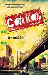 Çatı Katı & Penthouse F.