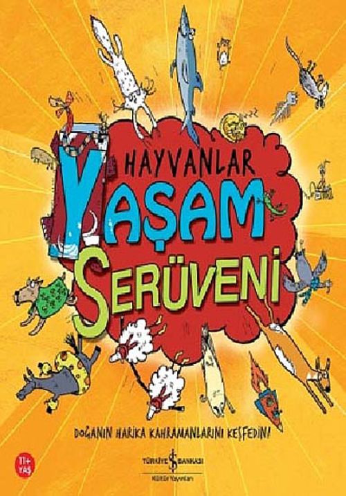 Hayvanlar / Yaşam Serüveni
