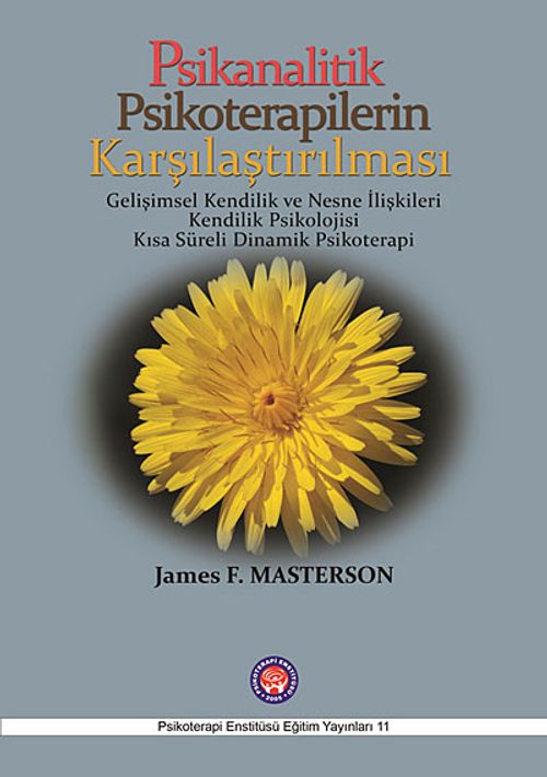 Psikanalitik Psikoterapilerin Karşılaştırılması & Gelişimsel Kendilik ve Nesne İlişkileri Kendilik Psikolojisi Kısa Süreli Dinamik Psikoterapi