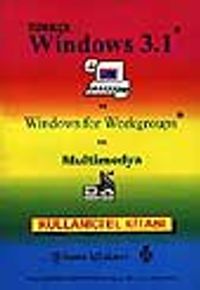 Türkçe Windows 3.1 (Pro Technology)
