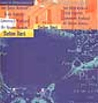 Bodrum Dörtlemesi (4 kitap özel kutuda)