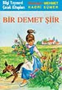 Bir Demet Şiir