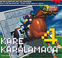 Kare Karalamaca 4 / 14 Yaş ve Yukarısı İçin Eşsiz Geometri ve Mantık Oyunları