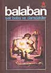 Şair Baba ve Damdakiler