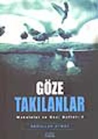 Göze Takılanlar / Makaleler ve Gezi Notları 2