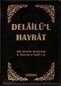 Delailü'l Hayrat (Plastik Kapak Cep Boy)