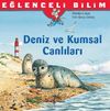 Deniz ve Kumsal Canlıları