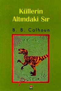 Küllerin Altındaki Sır