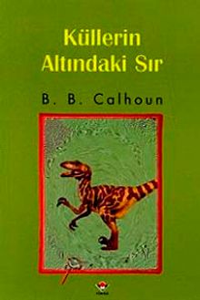 Küllerin Altındaki Sır