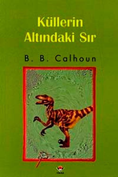 Küllerin Altındaki Sır