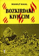 Bozkırdaki Kıvılcım