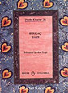 Birkaç Yazı - Mehmet Şevket Eygi