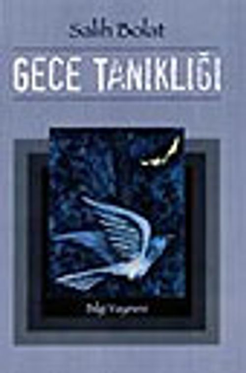 Gece Tanıklığı
