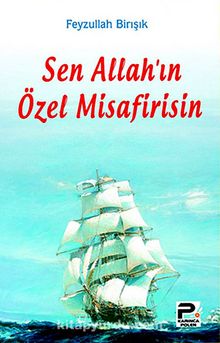 Sen Allah'ın Özel Misafirisin - Feyzullah Birışık