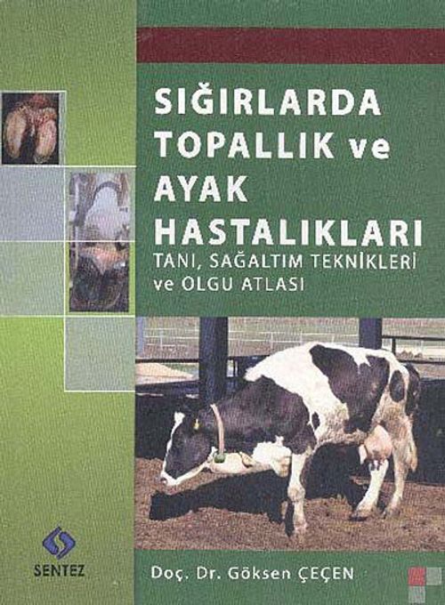 Sığırlarda Topallık ve Ayak Hastalıkları  & Tanı Sağaltım Teknikleri ve Olgu Atlası