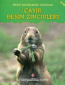 Çayır Besin Zincirleri / Besin Zincirlerini Korumak - Buffy Silverman