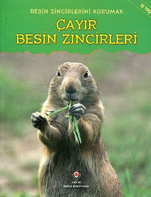 Çayır Besin Zincirleri / Besin Zincirlerini Korumak