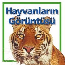 Hayvanların Görüntüsü