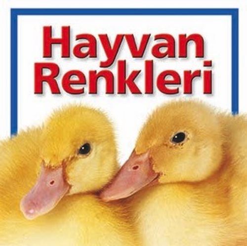 Hayvan Renkleri