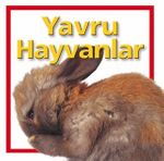 Yavru Hayvanlar