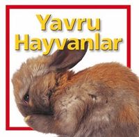 Yavru Hayvanlar