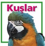 Kuşlar