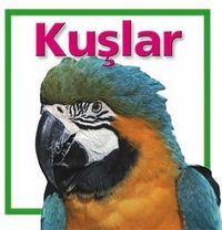 Kuşlar