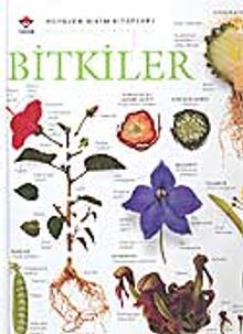 Bitkiler