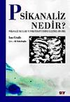 Psikanaliz Nedir? Psikanaliz Okulları ve Psikoterapi &Uuml;zerine Eleştirel Bir Giriş