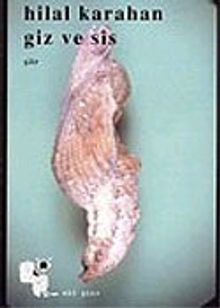 Giz ve Sis