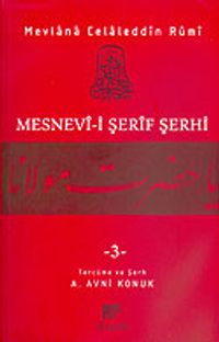 Mesnevi-i Şerif Şerhi 3