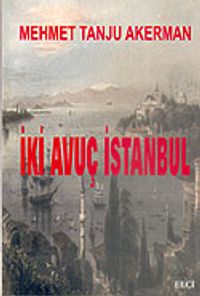 İki Avuç İstanbul