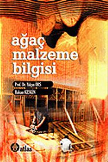 Ağaç Malzeme Bilgisi