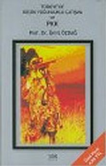 Türkiye'de Düşük Yoğunluklu Çatışma ve PKK