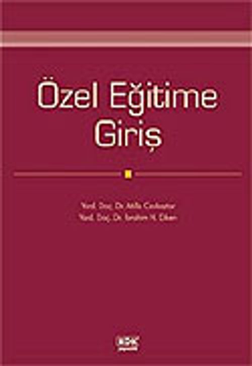 Özel Eğitime Giriş