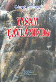 Yaşam Çavlanında