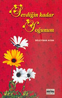 Sevdiğin Kadar Yoğunum