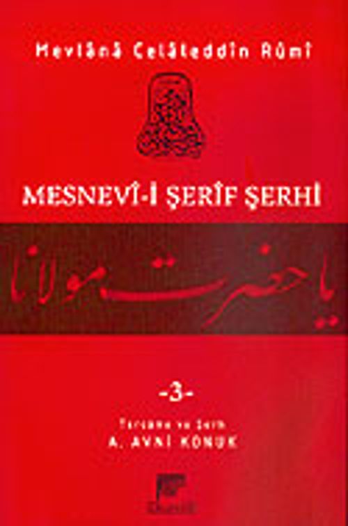Mesnevi-i Şerif Şerhi 3