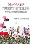 Dekoratif Türkiye Bitkileri