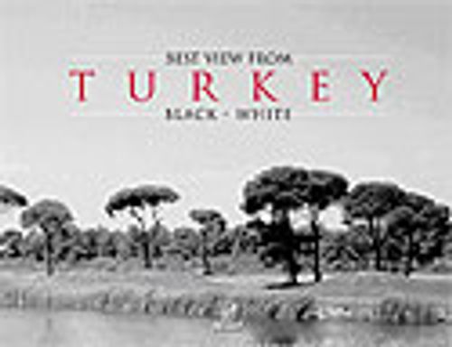 Best View From Turkey