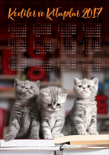 2017 Takvimli Poster - Kediler ve Kitaplar - Sevimli