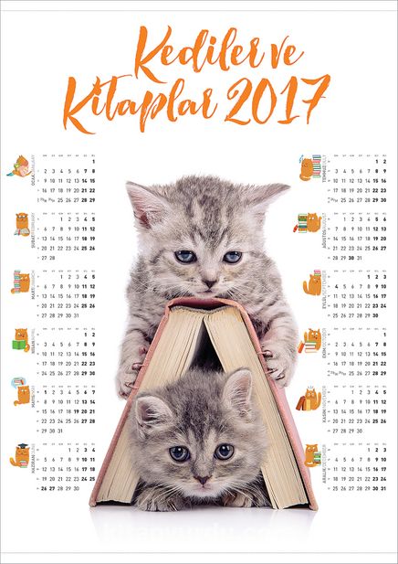2017 Takvimli Poster - Kediler ve Kitaplar - Kitap Ev