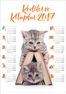 2017 Takvimli Poster - Kediler ve Kitaplar - Kitap Ev