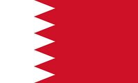 Bahreyn Bayrağı (20x30)